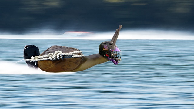 的即将开始
